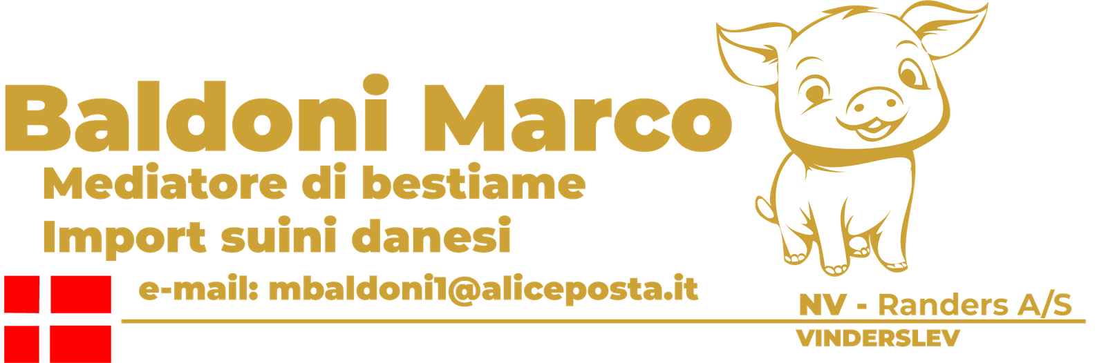 Baldoni Marco